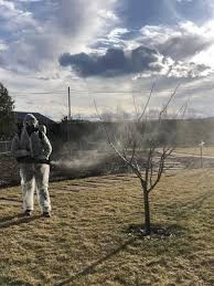 ОСЕННЯЯ ОБРАБОТКА САДА ЖЕЛЕЗНЫМ КУПОРОСОМ