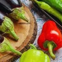 Технология выращивания баклажанов и острого перца для защищенного грунта