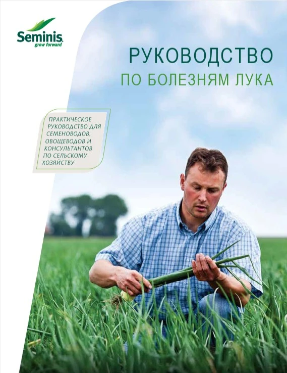 РУКОВОДСТВО ПО БОЛЕЗНЯМ ЛУКА