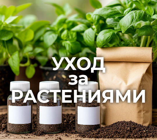 УХОД ЗА РАСТЕНИЯМИ