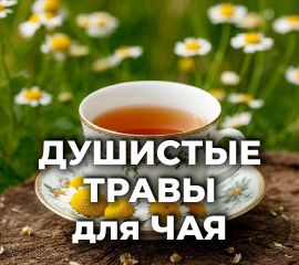 ДУШИСТЫЕ ТРАВЫ для ЧАЯ