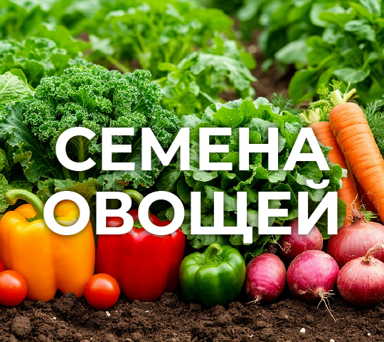 Семена овощей