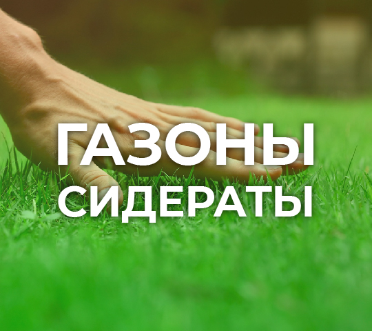 Газоны и сидераты