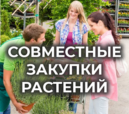 Бронирование растений по предзаказам