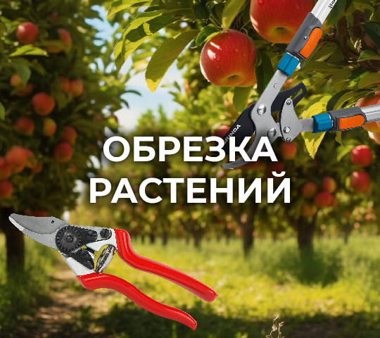 ОБРЕЗКА РАСТЕНИЙ