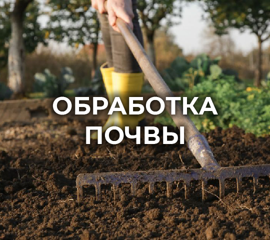ОБРАБОТКА ПОЧВЫ