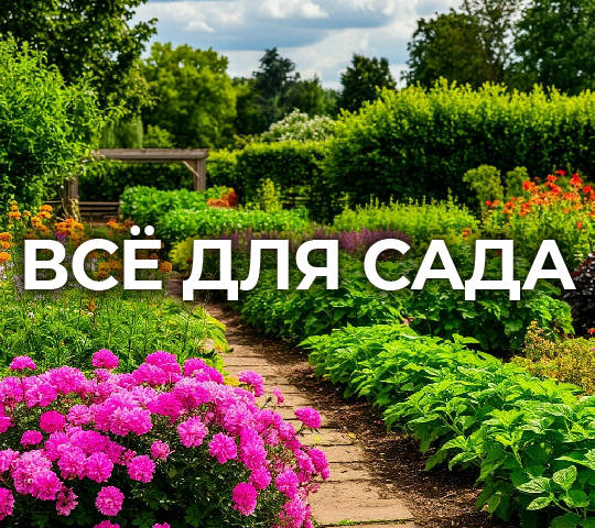 ВСЁ для САДА