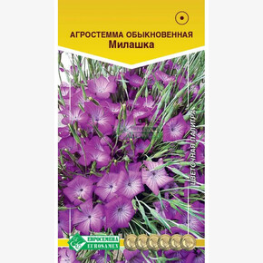 Агростемма МИЛАШКА (0,5 гр)/ Евросемена