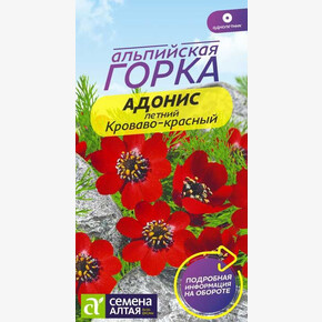 Адонис Кроваво-красный/Сем Алт/цп 0,2 гр. Альпийская горка