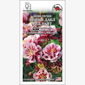 Аквилегия Винки Дабл Ред-Уайт /Сотка/ 5шт/ красно-бел. h-35см d-6см PanAm
