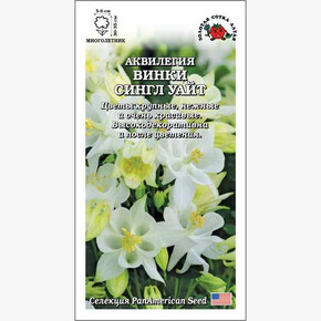 Аквилегия Винки Сингл Уайт /Сотка/ 5шт/ бел. h-35см d-6см PanAm