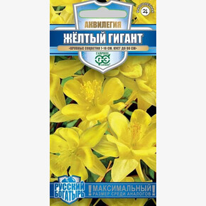 Аквилегия Желтый Гигант/ Гавриш