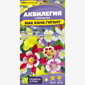 Аквилегия Маккана Гигант/ Семена Алтая