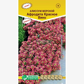 Алиссум АФРОДИТА КРАСНОЕ ВИНО (0,02 гр)/ Евросемена
