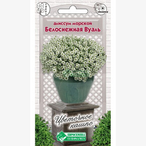 Алиссум БЕЛОСНЕЖНАЯ ВУАЛЬ 10 шт/ Евросемена