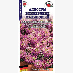 Алиссум Вондерленд малиновый /Сотка/ 0,01 г
