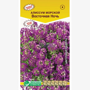 Алиссум ВОСТОЧНАЯ НОЧЬ (темно-фиолет.) (0,1 гр)/ Евросемена