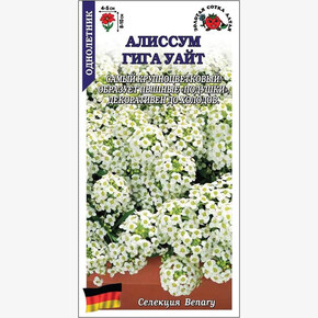 Алиссум Гига Уайт /Сотка/ 0,01 г