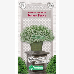 Алиссум ЗИМНЯЯ ВЬЮГА 5 драже/ Евросемена