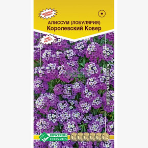 Алиссум КОРОЛЕВСКИЙ КОВЕР (0,1 гр)/ Евросемена