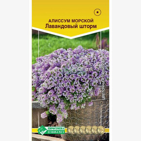 Алиссум ЛАВАНДОВЫЙ ШТОРМ 0,1гр/ Евросемена