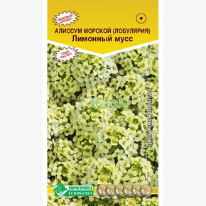 Алиссум ЛИМОННЫЙ МУСС морской 0,05 гр/ Евросемена