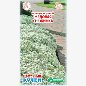 Алиссум МЕДОВАЯ СНЕЖИНКА морской 10 драже/ Евросемена
