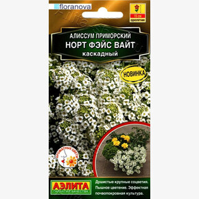 Алиссум Норт фэйс вайт каскадный 10шт/ Аэлита