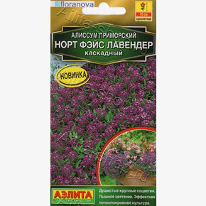 Алиссум Норт фэйс лавендер каскадный 10шт/ Аэлита