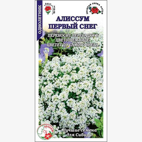 Алиссум Первый снег/ Сотка