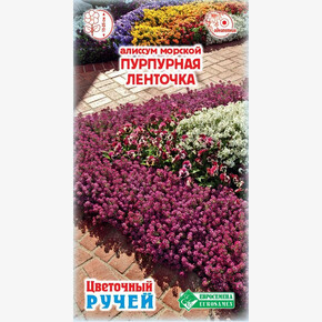 Алиссум ПУРПУРНАЯ ЛЕНТОЧКА морской 10 драже/ Евросемена