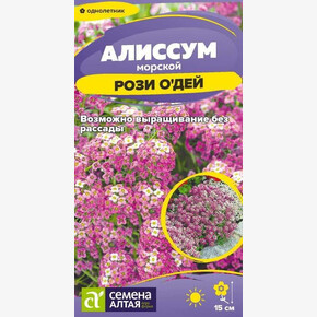 Алиссум Рози О`Дей/Семена Алтая/цп 0,05 гр. (2029 / 4569)