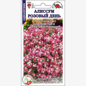 Алиссум Розовый День/ Сотка