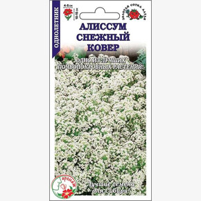 Алиссум Снежный ковер/ Сотка