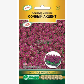 Алиссум СОЧНЫЙ АКЦЕНТ 0,01 гр/ Евросемена