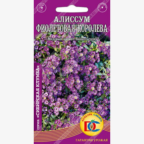 Алиссум Фиолетовая королева /0,05 гр Дем Сиб/
