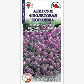 Алиссум Фиолетовая Королева/ Сотка