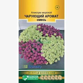 Алиссум ЧАРУЮЩИЙ АРОМАТ, смесь (10 шт)/ Евросемена