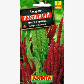 Амарант Изящный /Аэлита