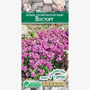 Арабис ВОСТОРГ 10 шт/ Евросемена