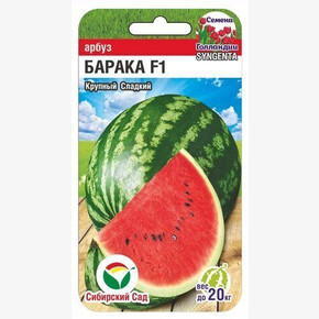 Арбуз Барака F1 3шт Сиб Сад