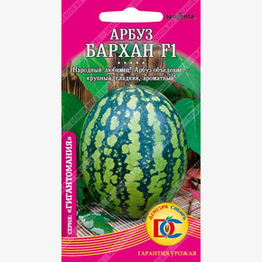 арбуз Бархан F1 /5 шт ДемСиб/Syngenta Голландия