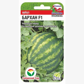 Арбуз Бархан F1 4шт Сиб Сад