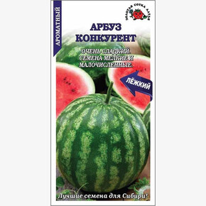 Арбуз Конкурент/ Сотка