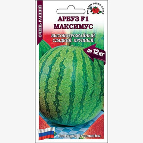Арбуз Максимус /Сотка/ 5 шт