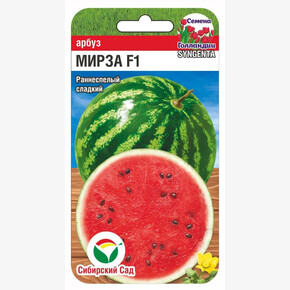 Арбуз Мирза 4шт Сиб Сад