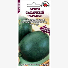 Арбуз Сахарный карапуз /Сотка