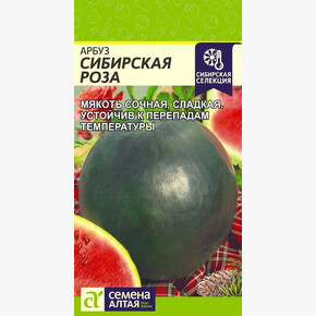 Арбуз Сибирская Роза/ Семена Алтая 1 гр.
