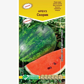 Арбуз СКОРИК (10шт)/ Евросемена