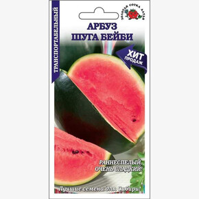 Арбуз Шуга Беби/ Сотка